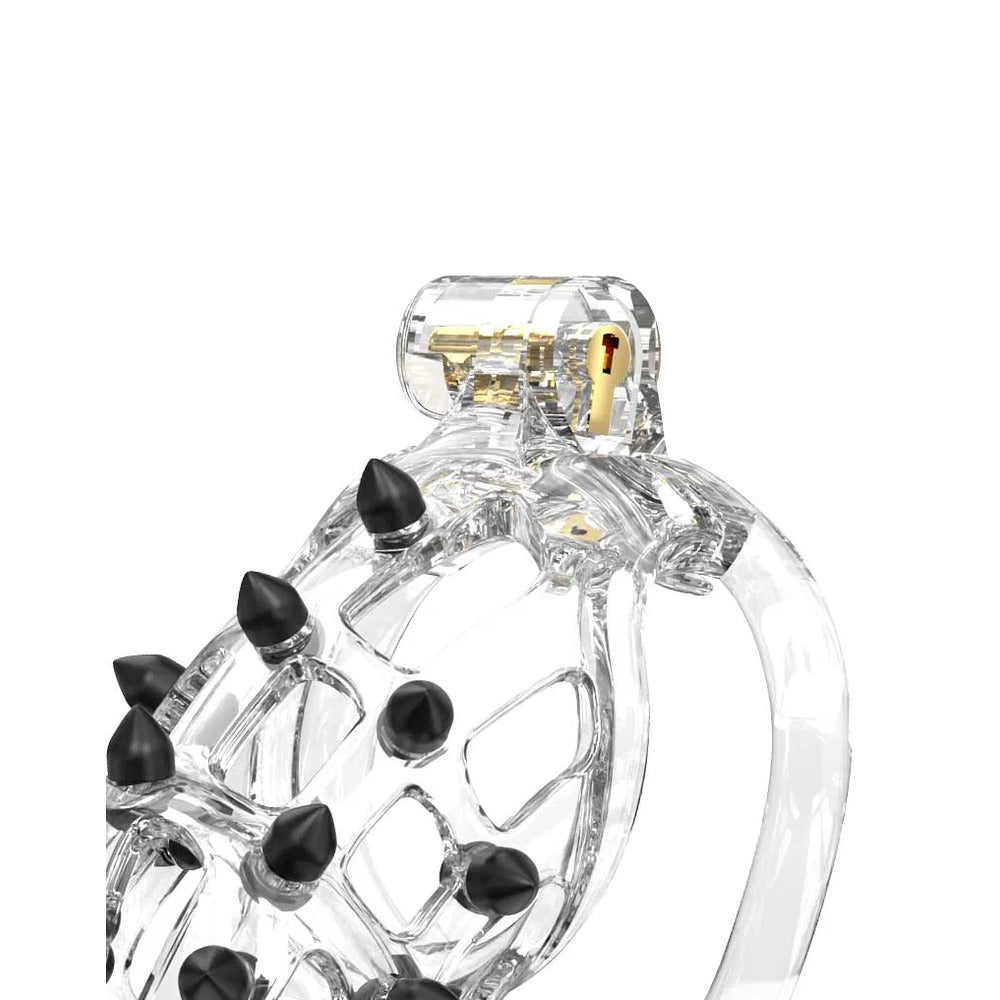 Rimba PCage PC09 Medium Transparent